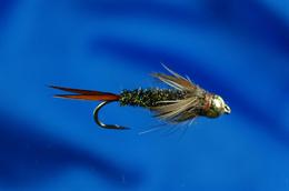 20 Incher Stonefly